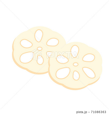 日本食 お節 縁起物 酢蓮 イラスト 日本食 お節 縁起物 酢蓮 イラスト 71086363
