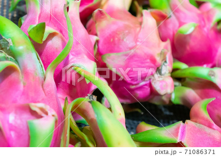ドラゴンフルーツたくさん 71086371