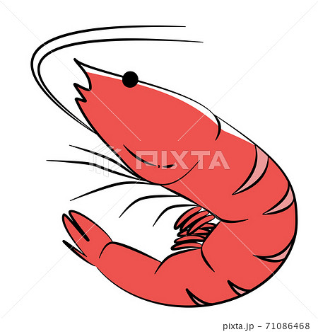 日本食 お節 縁起物 海老 イラスト 日本食 お節 縁起物 海老 イラスト 71086468