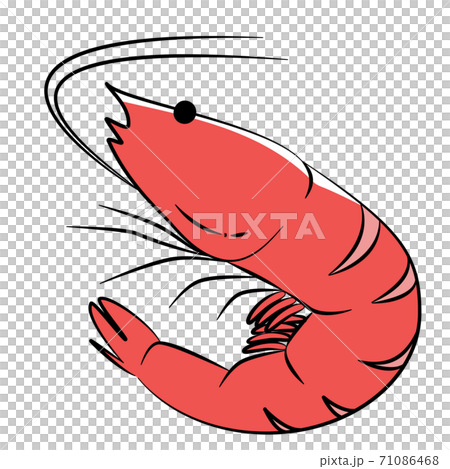 日本食 お節 縁起物 海老 イラスト 日本食 お節 縁起物 海老 イラスト 71086468