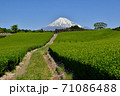 富士山と新緑の茶畑 71086488
