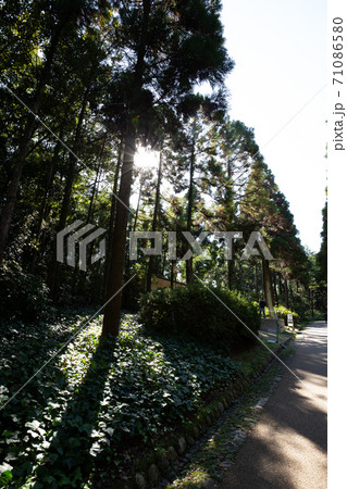 万博記念公園　大阪　公園 71086580