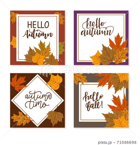 Set of Autumn fashion Set of Autumn fashion 71086698