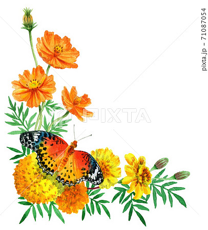 水彩秋の花と蝶のコーナーフレームのイラスト素材