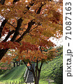 紅葉 71087163