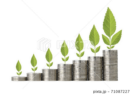 Business investment and saving growth plant growing on stacking coin on isolated Business investment and saving growth plant growing on stacking coin on isolated 71087227