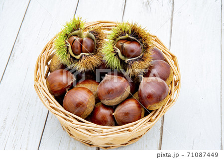 栗と松ぼっくり 71087449