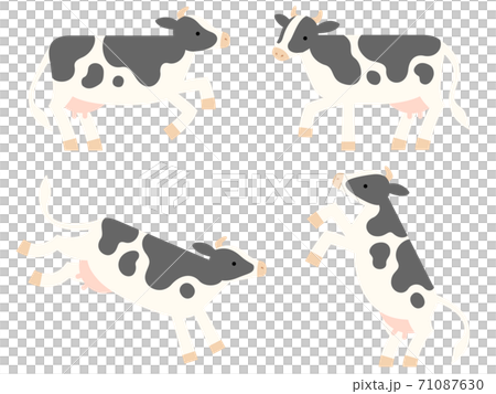 Deformed illustration set of cow 71087630