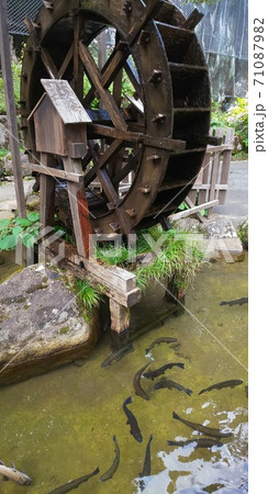 水車と池に泳ぐ魚 71087982