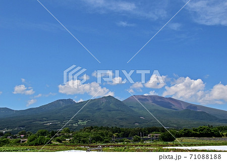 御代田町から見た新緑の浅間山と高原野菜の畑 御代田町から見た新緑の浅間山と高原野菜の畑 71088188