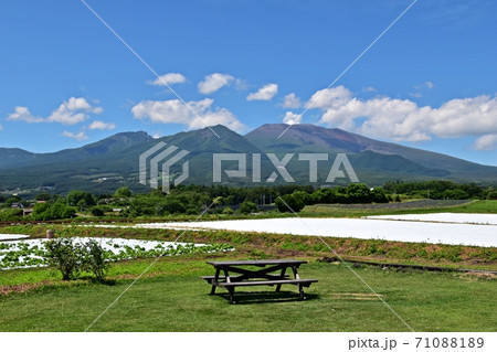 御代田町から見た新緑の浅間山と高原野菜の畑 御代田町から見た新緑の浅間山と高原野菜の畑 71088189