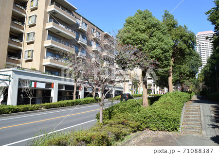 千葉県佐倉市 ユーカリが丘の住宅街 千葉県佐倉市 ユーカリが丘の住宅街 71088387