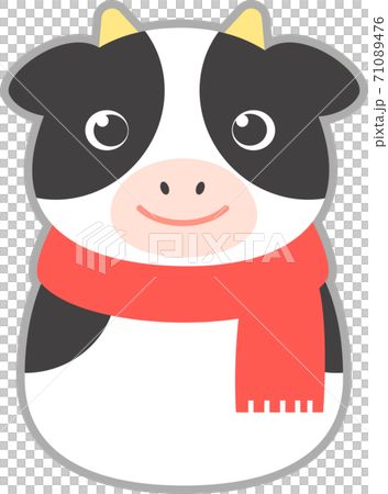 Cow wearing a muffler Cow wearing a muffler 71089476
