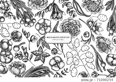 Floral design with black and white ficus, eucalyptus, peony, cotton, freesia, brunia Floral design with black and white ficus, eucalyptus, peony, cotton, freesia, brunia 71090254