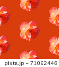 Seamless pattern with roses on a orange background 71092446