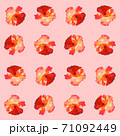 Seamless pattern with roses on a pink background. 71092449