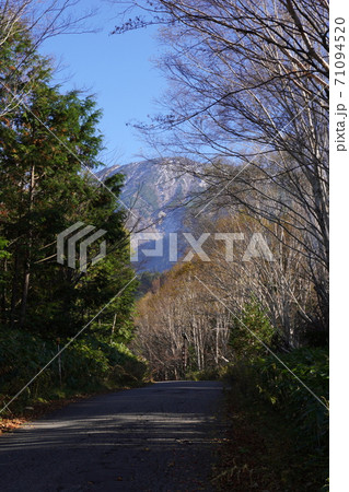 紅葉の御岳パノラマラインと御岳山 71094520