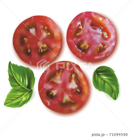 Realistic Detailed 3d Slice Tomato and Basil Leaves Set. Vector 71094590