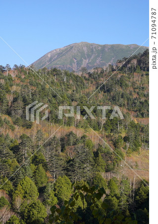 紅葉する濁河温泉の林道からの御岳山 71094787