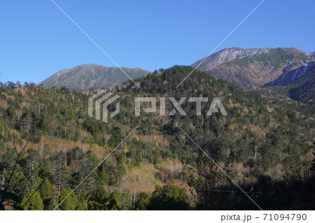 紅葉する濁河温泉の林道からの御岳山 71094790