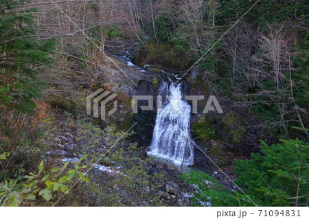 紅葉の濁河温泉と白糸の滝 71094831