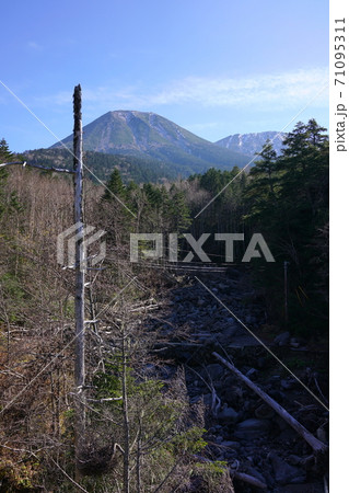 御岳山と紅葉する御岳山のすそ野 71095311