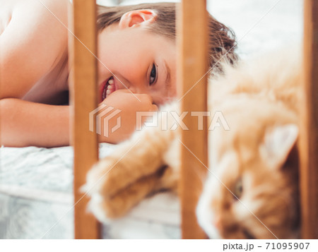 Toddler lies in bed with cute ginger cat. Little boy laughting. Child's friendship with domestic cat. Cozy home at morning. 71095907