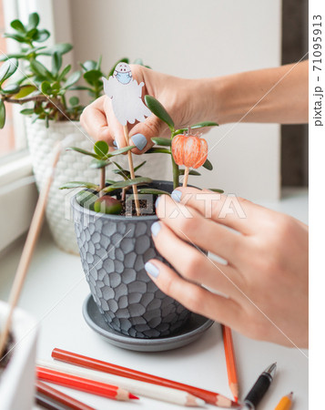Woman decorates flower pots with handmade decorations for Halloween. Painted ghost in medical protective mask and pumpkin in flower pot with succulent plant. 71095913