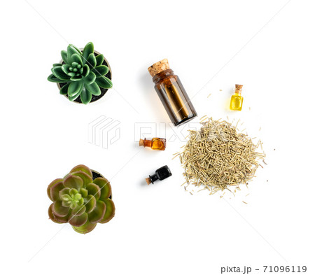Rosemary Essential Oil, Tincture or Extract in Small Bottle 71096119