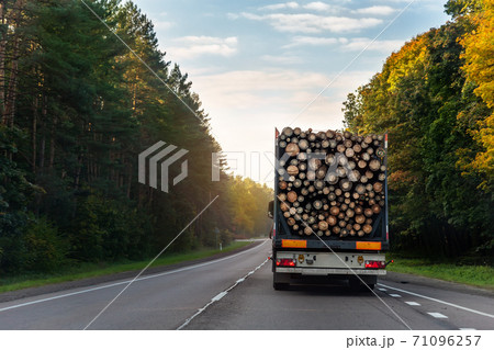 back view of long heavy industrial wood carrier cargo vessel truck trailer with big timber pine, spruce, cedar driving on highway road with blue sky background. Timber export and shipping concept back view of long heavy industrial wood carrier cargo vessel truck trailer with big timber pine, spruce, cedar driving on highway road with blue sky background. Timber export and shipping concept 71096257