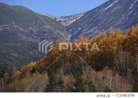 紅葉の濁河温泉スキー場跡からの御岳山の眺望 71096399