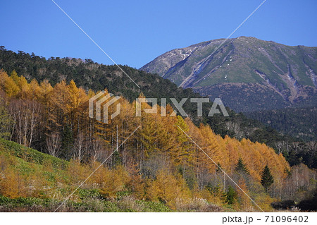 紅葉の濁河温泉スキー場跡からの御岳山の眺望 71096402