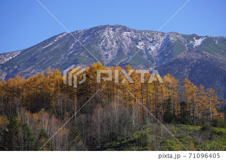 紅葉の濁河温泉スキー場跡からの御岳山の眺望 71096405