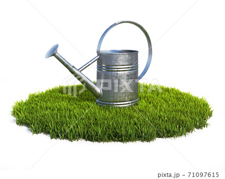 Watering can on grass, shiny aluminum gardening tool 3d rendering 71097615