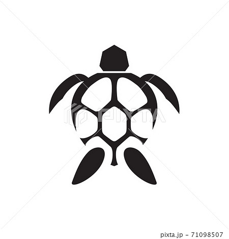 Turtle animal logo design template 71098507