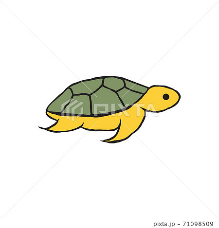 Turtle Animal Logo Design Templateのイラスト素材