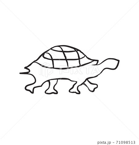 Turtle Animal Logo Design Templateのイラスト素材