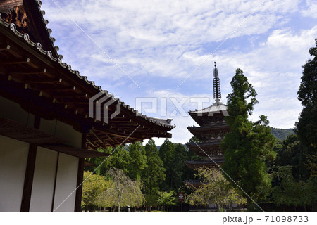 醍醐寺 清瀧殿から見た五重塔 醍醐寺 清瀧殿から見た五重塔 71098733