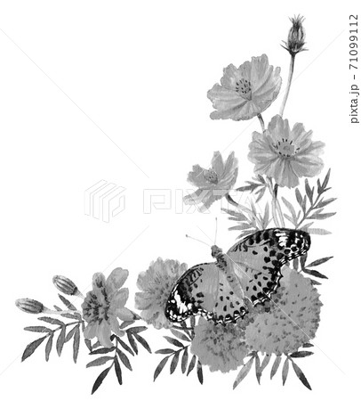 水彩秋の花と蝶のコーナーフレームモノトーンのイラスト素材