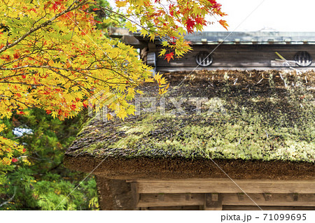 仙台藩花山村寒湯番所跡の紅葉　宮城県栗原市 71099695