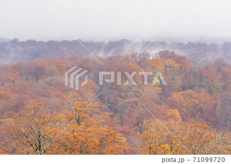 雨上がりの湯浜峠 紅葉と栗駒山 宮城県栗原市 雨上がりの湯浜峠 紅葉と栗駒山 宮城県栗原市 71099720