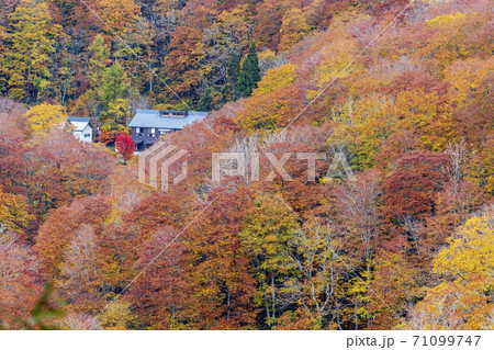 秋の湯浜峠の風景 湯浜温泉 宮城県栗原市 秋の湯浜峠の風景 湯浜温泉 宮城県栗原市 71099747