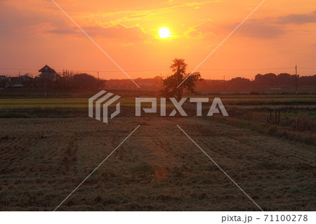ノスタルジックな田舎の夕暮れの写真素材 ノスタルジックな田舎の夕暮れの写真素材