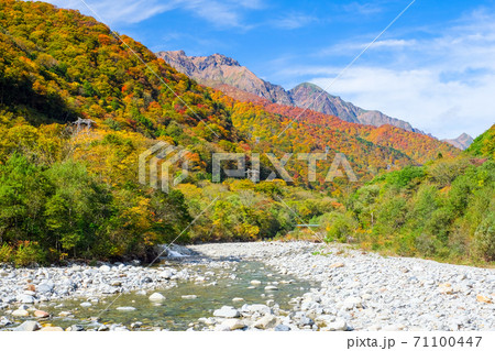 秋の渓谷と谷川連峰 71100447