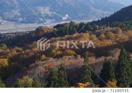 魚沼スカイライン 71100535