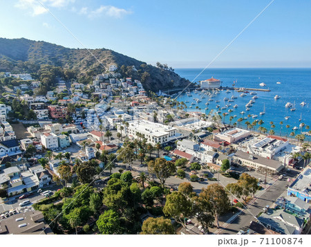 Aerial view of Avalon downtown and bay in Santa Catalina Island, USA Aerial view of Avalon downtown and bay in Santa Catalina Island, USA 71100874