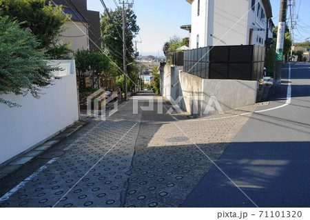 10月　世田谷426岡本三丁目の坂Ⅱ･国分寺崖線 71101320