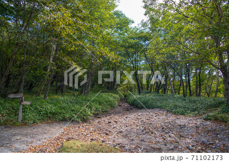県立赤城公園 小沼駐車場付近 関東ふれあいの道 初秋の風景 県立赤城公園 小沼駐車場付近 関東ふれあいの道 初秋の風景 71102173