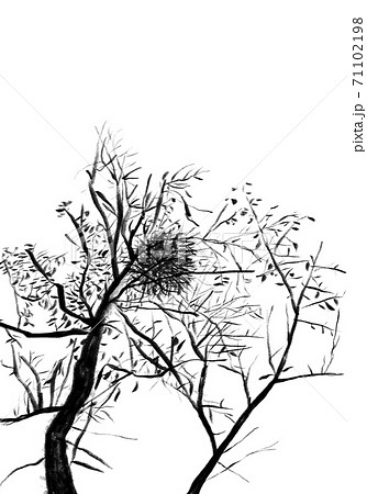 影絵の様な宿木の挿画 71102198