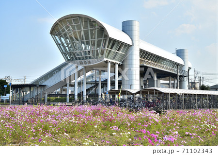 神埼市　風景　コスモス畑と神埼駅 71102343